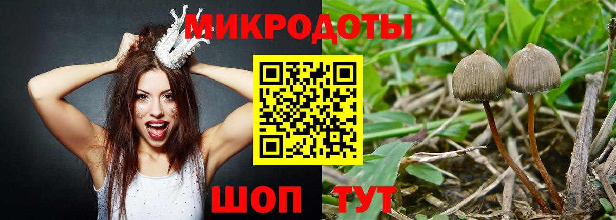 Галлюциногенные грибы Psilocybe  Вход с VPN  Еманжелинск  Галлюциногенные грибы Psilocybine cubensis 